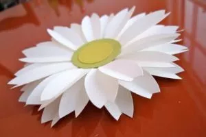 Cách làm hoa daisy xinh xắn bằng bấm hoa 6 cánh
